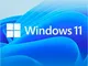 Windows 11 Home 1 licenza/e