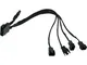 4Pin Molex auf 4x 3Pin (12V) 30cm 0,3 m, Adattatore