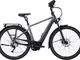 PEGASUS Premio Evo 10 Lite COMFORT (625 Wh), cambio a 10 velocità, bici da uomo, diamante,...