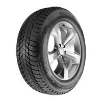 ' Winguard Ice Plus (175/70 R14 88T)'