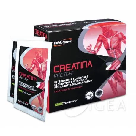  Creatina Vector Integratore di Creatina per Sportivi 28 buste x 8 g