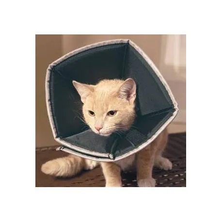  Comfy Cone Collare elisabettiano per cani e gatti L 1 pezzo