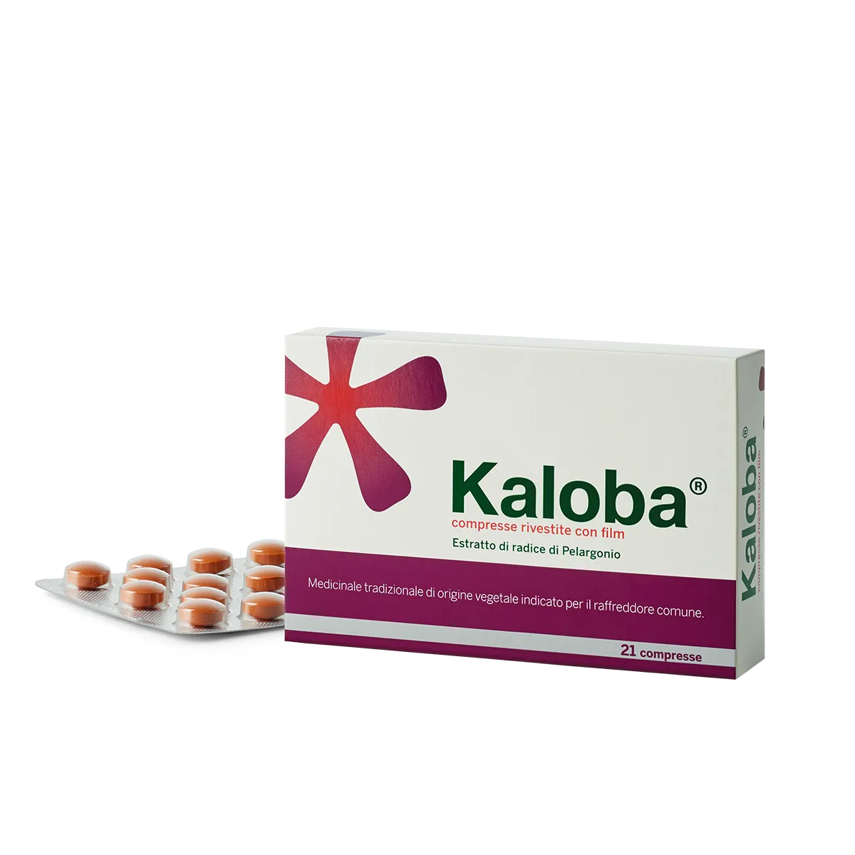 Kaloba*21cpr Riv