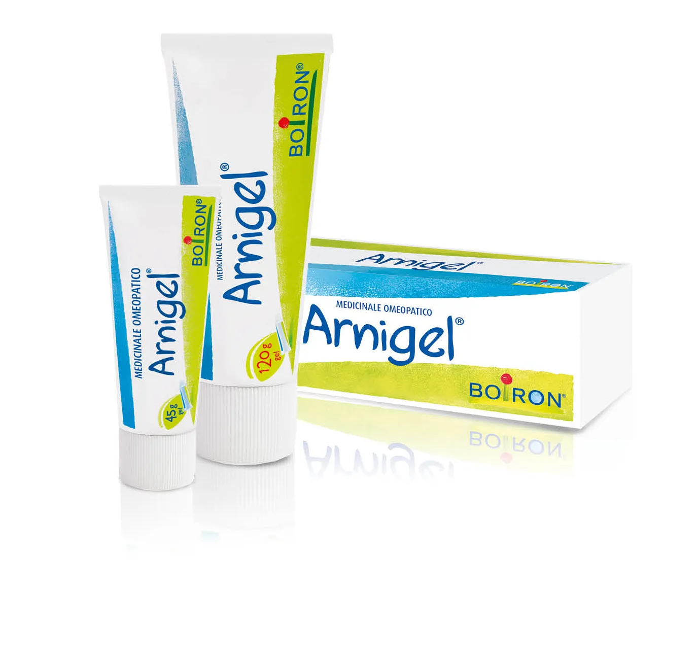 Arnigel*7% Gel Tubo 120g