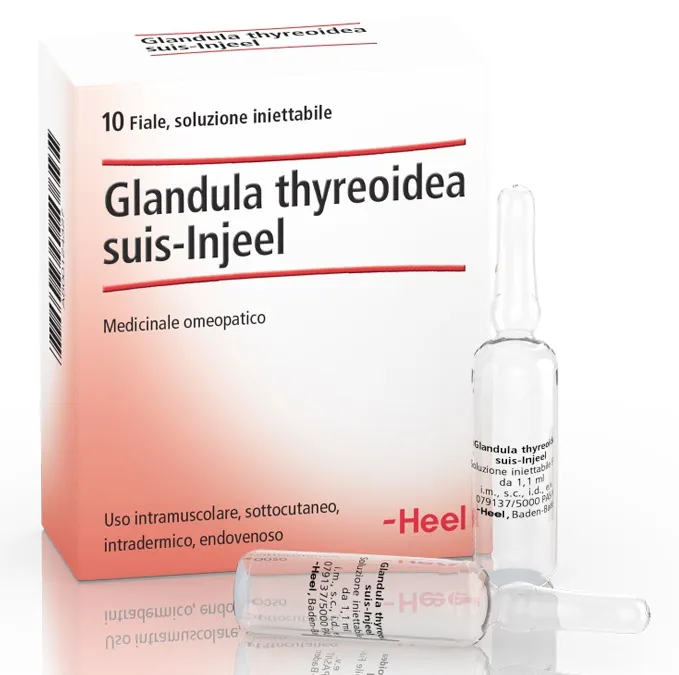 Heel Glandula Thyroidea Suis Injeel 10 Fiale