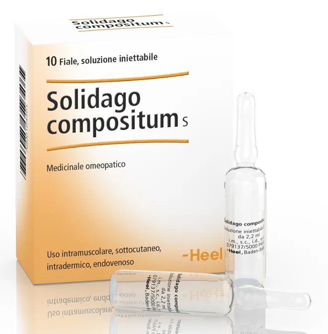 Heel Solidago Compositum 10 Fiale Da 2,2 Ml L'una