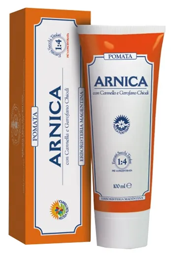 Arnica Forte Pomata 100 Ml