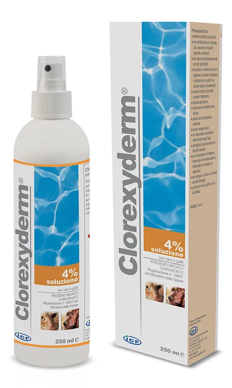 CLOREXYDERM SOLUZIONE 4% 250 ML