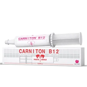 Carniton B 12 Pasta 1 Siringa 100 G