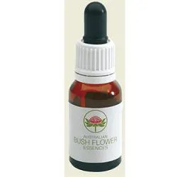 Mint Bush 15ml Gtt