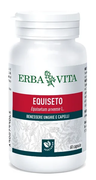 EQUISETO 60 CAPSULE