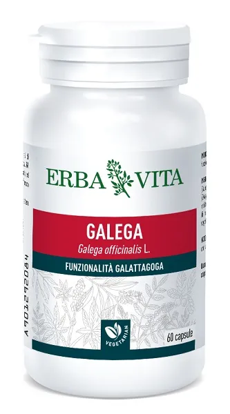 Galega 60 Capsule