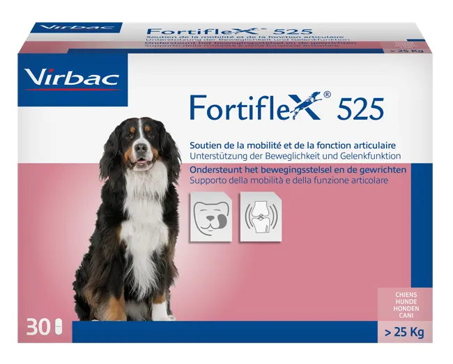 FORTIFLEX 525 MG 30 COMPRESSE APPETIBILI