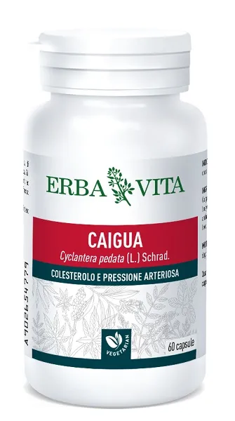 Caigua 60 Capsule 400 Mg