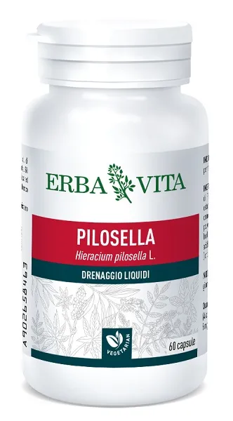 Pilosella 60 Capsule 400 Mg