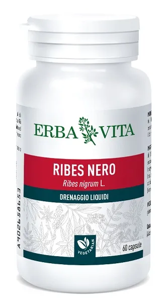 Ribes Nero 60 Capsule 450 Mg