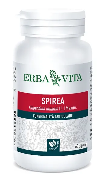 Spirea Ulmaria 60 Capsule 400 Mg