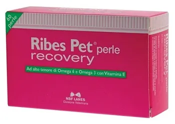 RIBES PET RECOVERY BLISTER 60 PERLE