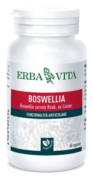 Boswellia Serrata 60 Capsule 400 Mg