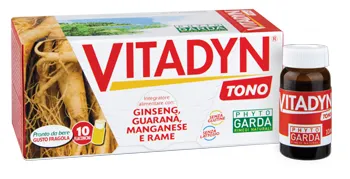 Vitadyn Tono 12 Flaconcini 10 Ml