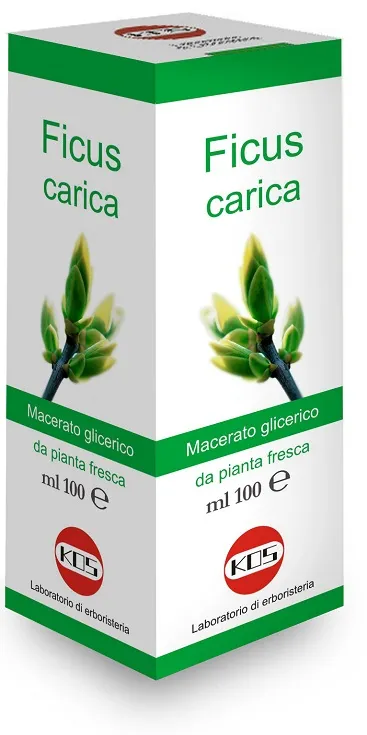 Ficus Carica Mg 100 Ml Gocce