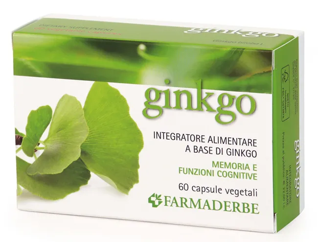 Ginkgo Biloba 60 Capsule