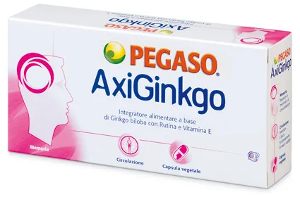 AXIGINKGO 60 CAPSULE