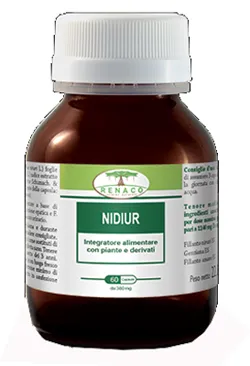 Nidiur 60 Capsule