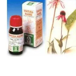 Echinacea 59 50ml Tm