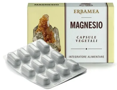 MAGNESIO 24 CAPSULE 1200 MG