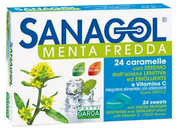 Sanagol Menta Fredda 24 Caramelle