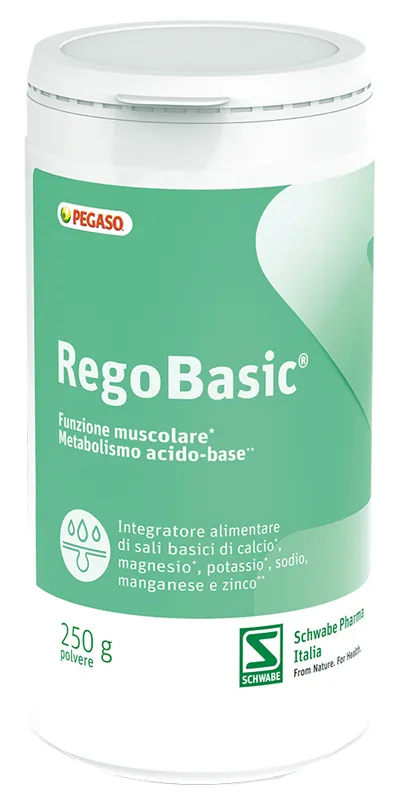 Regobasic Polvere 250 G