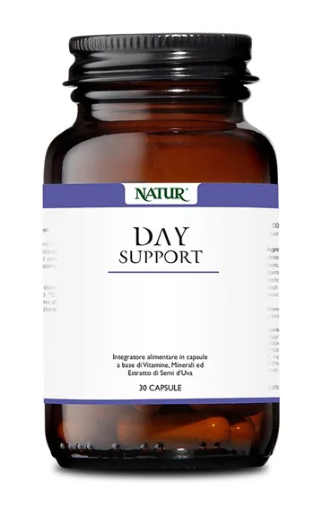 DAY SUPPORT 30 CAPSULE