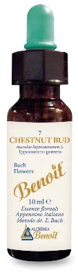 Fiori Di Bach Benoit Chestnut Bud 10 Ml