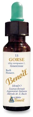 Fiori Di Bach Benoit Gorse 10 Ml