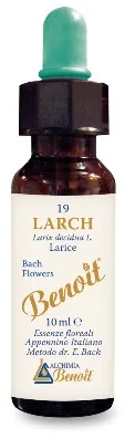 Fiori Di Bach Benoit Larch 10 Ml