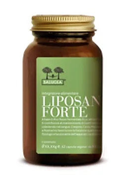 SALUGEA LIPOSAN FORTE 62 CAPSULE