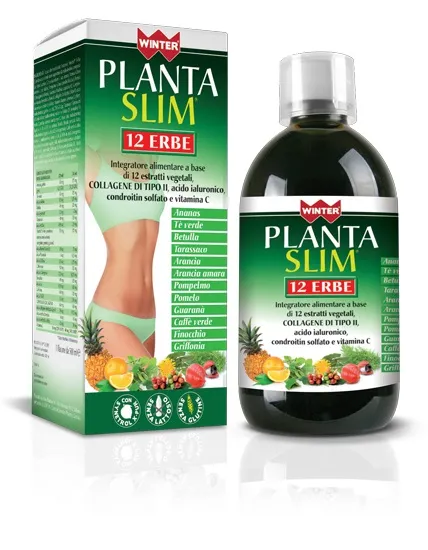 WINTER PLANTA SLIM 12 ERBE 500 ML