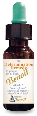 Determination Remedy 28 Ml