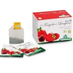 Infuso Fragola/lampone 20 Filtri