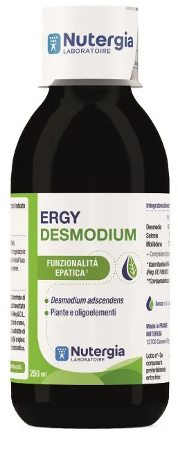 ERGYDESMODIUM 250 ML