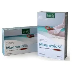 Magnesio B6 20 Ampolle Bevibili Da 15 Ml