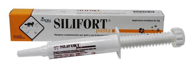 Silifort Pasta Os Siringa 15 G