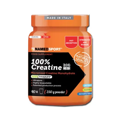 NAMED SPORT CREATINA 100% 500 G