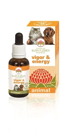 Vigor & Energy 30 Ml