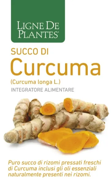 CURCUMA BIO SUCCO 250 ML