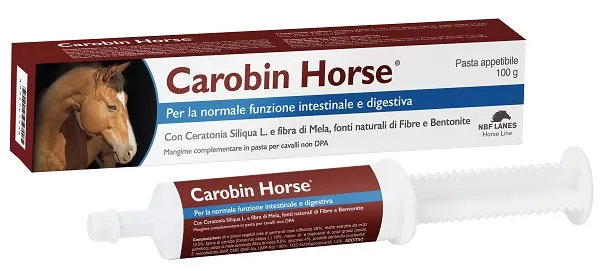 CAROBIN HORSE PASTA APPETIBILE SIRINGA 100 G