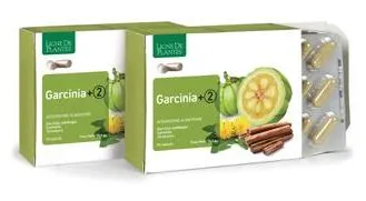 GARCINIA + 2 90 CAPSULE