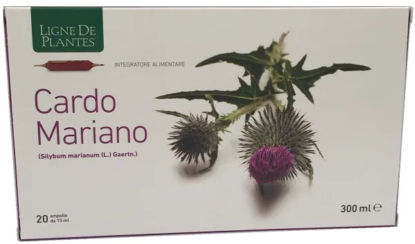 Cardo Mariano Biologico 20 Ampolle Bevibili Da 15 Ml