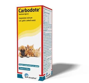 CARBODOTE 100 ML